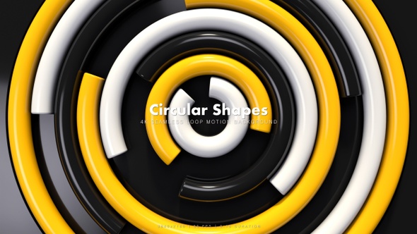 Circular Shapes 44