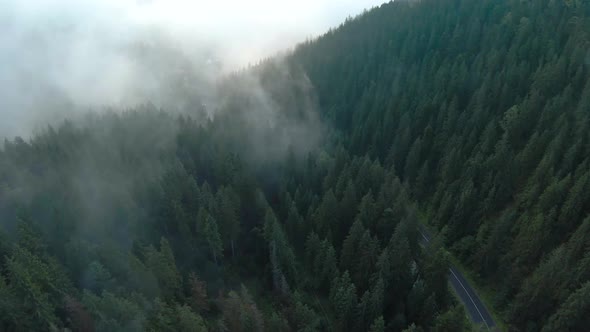 Aerial View of Cars Driving Along the Road in the Mountains Among the Coniferous Forest