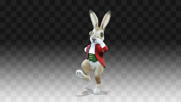 Rabbit Oliver Tap Dance