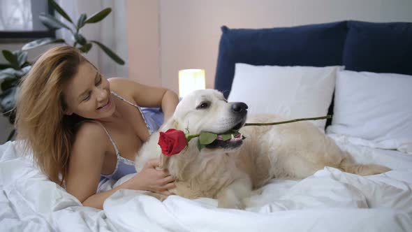 Grateful Woman Owner Caressing Dog for Rose in Bed