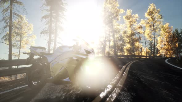 Sportbike on Tre Road in Forest with Sun Beams