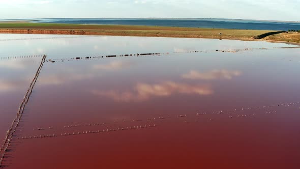 Beautiful top view of the salty, pink lake. Beautiful pink sunset.