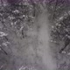 Fly over the forest in winter - VideoHive Item for Sale