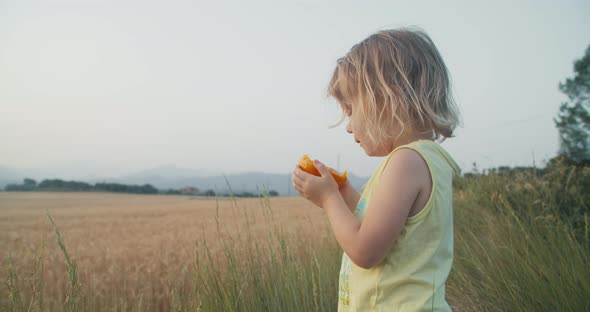 Toddler Girl Eat Natural Juicy Orange Fruit Outdoors at Sunset Stands on Field