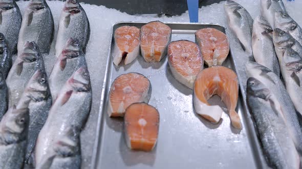 Closeup of Salmon Steaks in Ice on the Counter in a Grocery Store