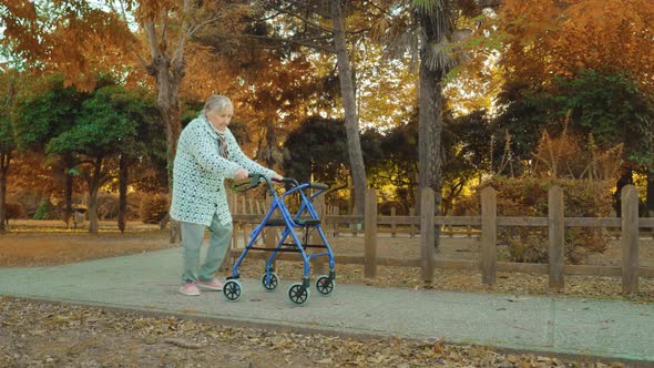 Grandmother Walks Near Fencing Using Wheelchairrollator