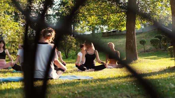 Group of Mixed Age Women Practice Yoga in Park on Summer Sunny Morning