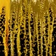 Gold & Juice Splash - VideoHive Item for Sale