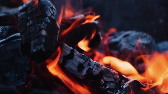 Close-up smoldered logs. Dark firewood glowing in campfire. Burning down logs in slow motion.
