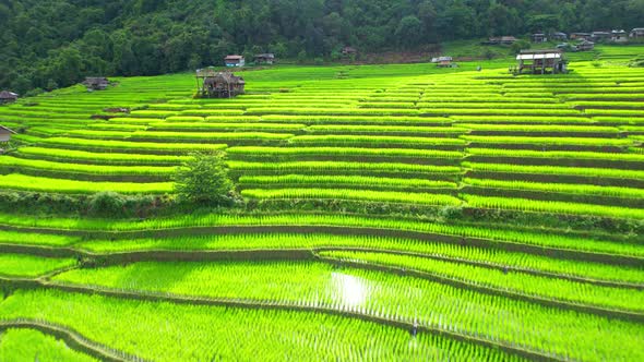 Drone flying over fields in Pa pong piang rice terraces