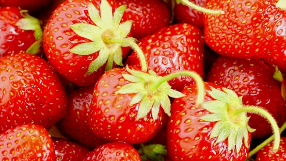 Red Strawberries Rotate