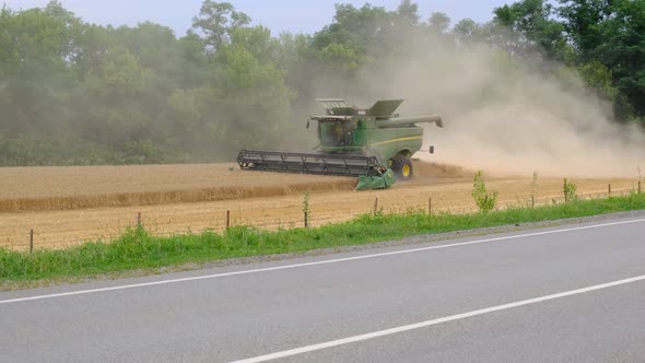 Combine Harvester Harvests a Field of Wheat Against the Background of Trees