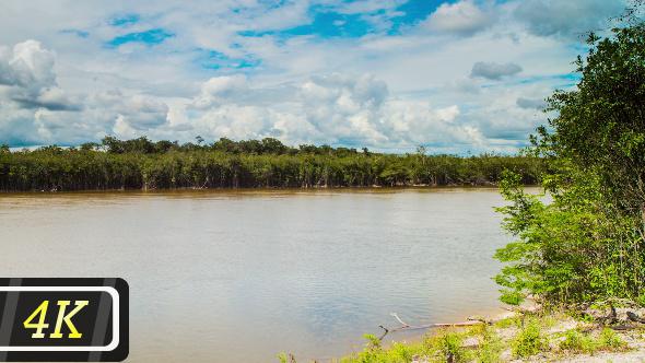 Amazon River