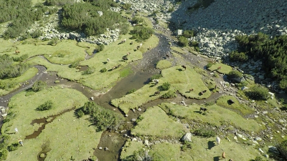 Aerial footage of Bulgaria Majestic Pirin Mountain 5