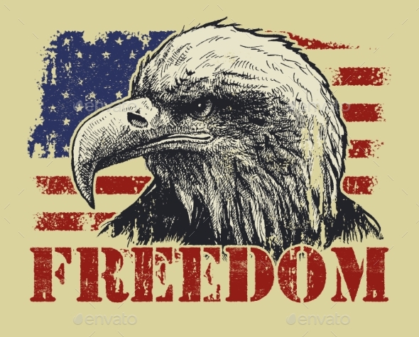 American Bald Eagle And Flag