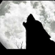Wolf Howl