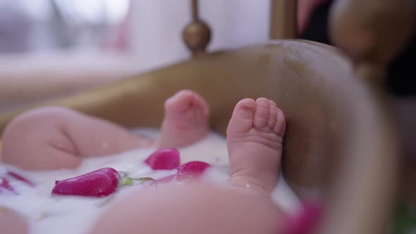 Closeup Little Legs of Newborn Child in Milk Water with Red Rose Petals