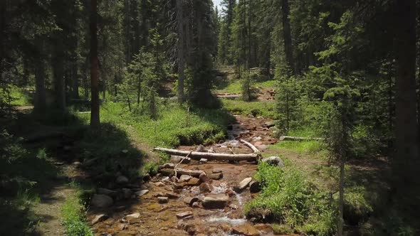 A Peaceful Stream in the Woods of Colorado, Low Flying Drone Shot, Forward Motion