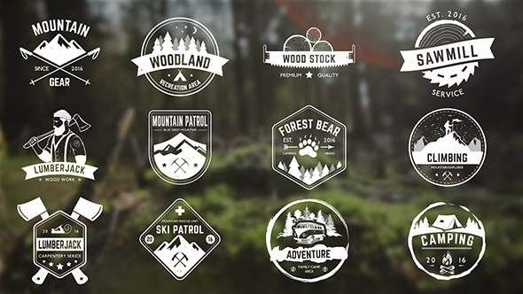 Mountains, Camping, Carpentry Badges