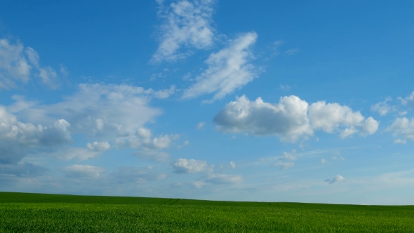 Countryside Natural Background. Field With Wheat Germ. Cloudscape in Spring Sunny Day. Russia