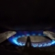 Blue Flame Of Gas Ring On Stove - VideoHive Item for Sale