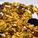 Walnuts Being Loaded Into Mincing Machine - VideoHive Item for Sale