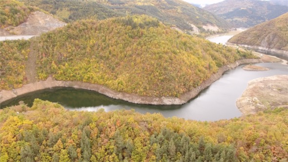 Forest Aerial View