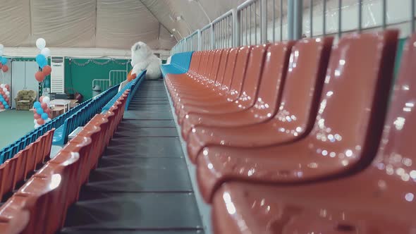 Empty Stands Before the Beauty Contest