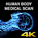 Human Body Medical Scan Side - VideoHive Item for Sale