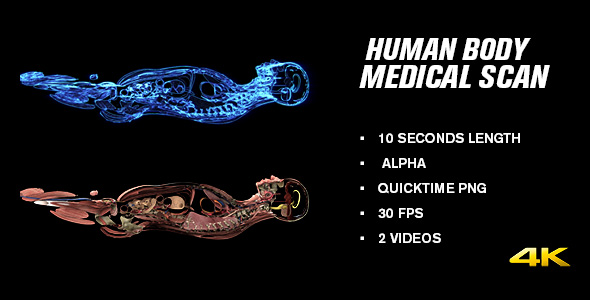 Human Body Medical Scan Side