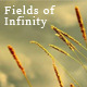 Fields of Infinity - AudioJungle Item for Sale
