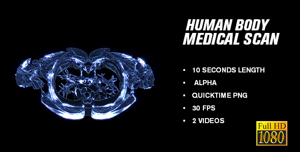 Human Body Axial Medical Scan