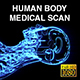 Human Body Medical Sagittal Scan - VideoHive Item for Sale