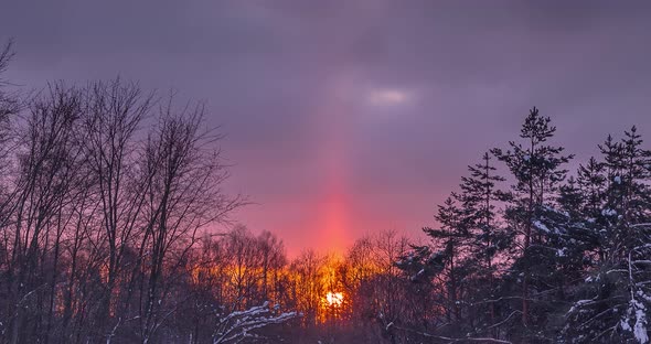Cold Sunset in Winter Forest with Sun Light Pillar