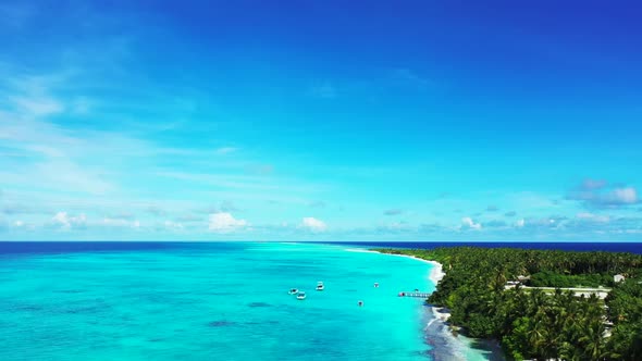 Aerial top down seascape of tropical resort beach wildlife by aqua blue ocean and white sand backgro