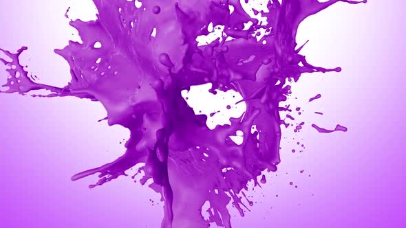 Purple Paint Drop Splash