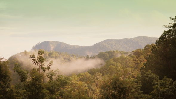 The Evaporation In The Tropical Jungle And Mountains After Rain. Vietnam. Dalat City.