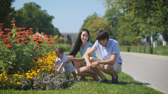 Parents Show a Bed Of Flowers To His Son.