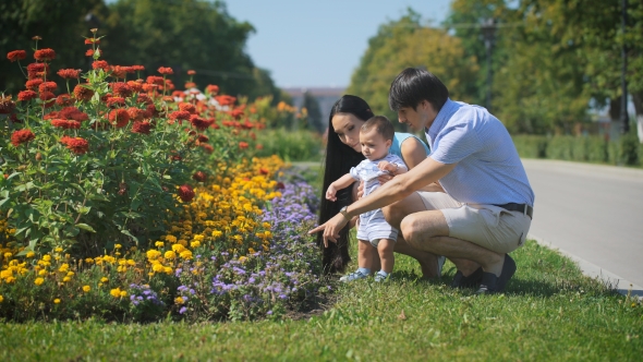 Father Coming And Show a Bed Of Flowers To His Son.