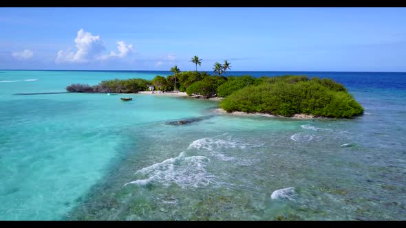 Aerial drone texture of idyllic lagoon beach wildlife by blue water with white sand background of a 