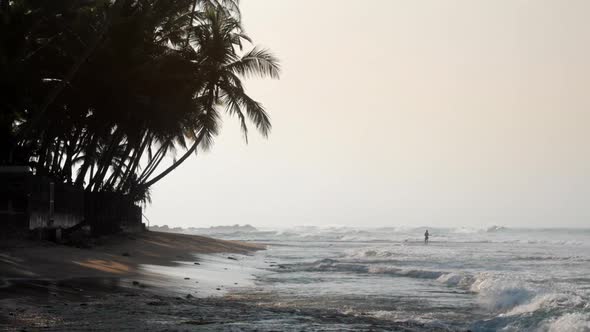 Tropical Shore By Waving Ocean Near Dark Palms Silhouette