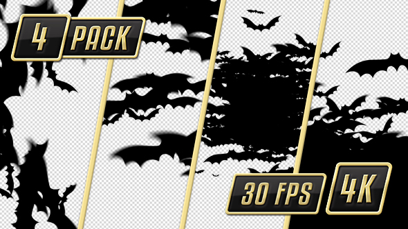 Halloween Transition Bats Wipe