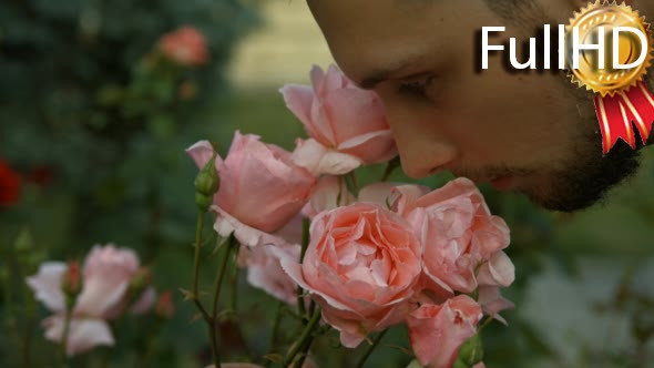 Young Man Sniffing Smelling Roses in the Park 01
