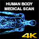 Human Body Medical Coronal Scan - VideoHive Item for Sale