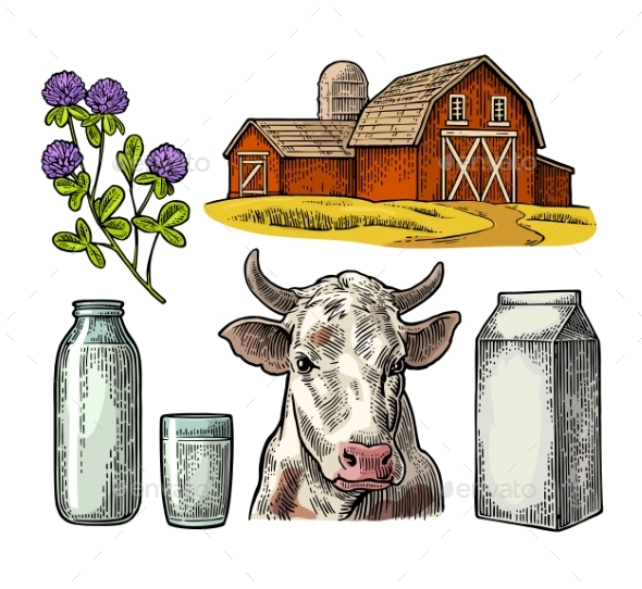 Set Milk Farm. Cow Head, Clover, Box Carton