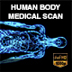 Human Body Coronal Medical Scan - VideoHive Item for Sale