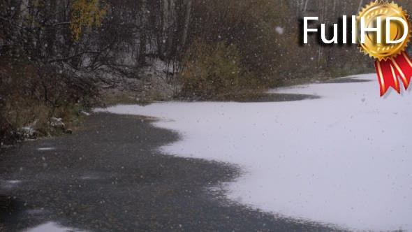 Snowfall on the Background of Frozen River Forest