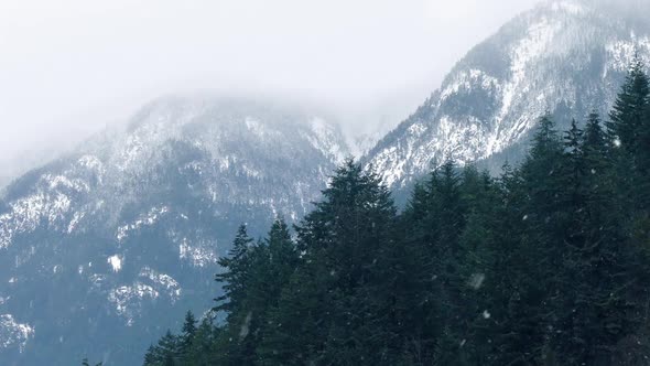 Snow Storm In Mountain Wilderness