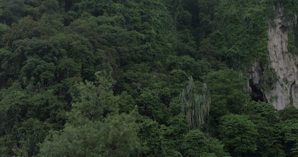 Seen Green Mountains And Statue Of Murugan At Batu Caves