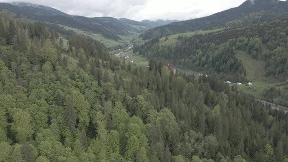 Ukraine, Carpathian Mountains: Beautiful Mountain Forest Landscape. Aerial, Flat, Gray